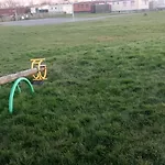 Przytulny Holenderski Z Podgrzewanym Odkrytym Basenem Do Dyspozycji Gosci Le Coq