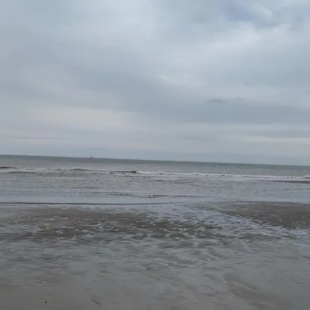 Przytulny Holenderski Z Podgrzewanym Odkrytym Basenem Do Dyspozycji Gosci *