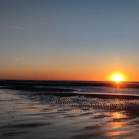 Przytulny Holenderski Z Podgrzewanym Odkrytym Basenem Do Dyspozycji Gosci 데한