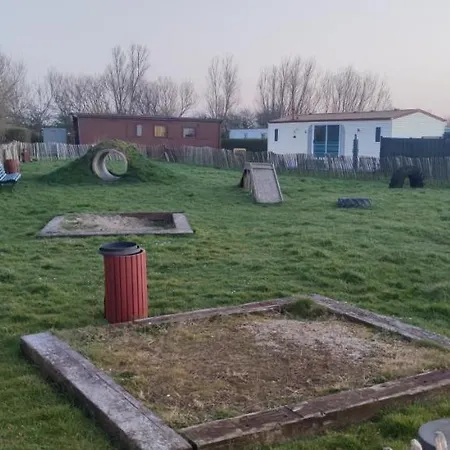 Przytulny Holenderski Z Podgrzewanym Odkrytym Basenem Do Dyspozycji Gosci