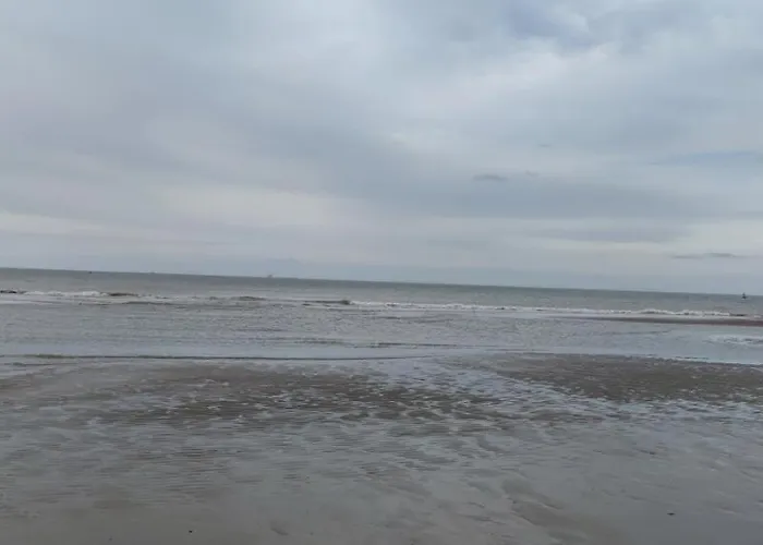 Przytulny Holenderski Z Podgrzewanym Odkrytym Basenem Do Dyspozycji Gosci *