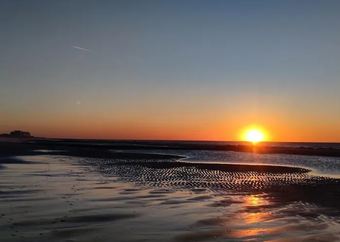 Przytulny Holenderski Z Podgrzewanym Odkrytym Basenem Do Dyspozycji Gosci De Haan