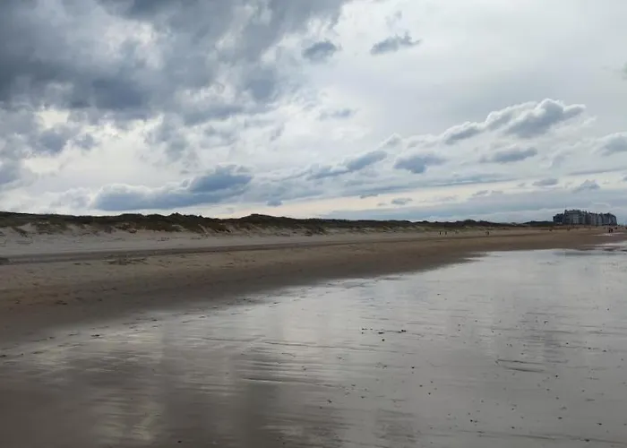 Przytulny Holenderski Z Podgrzewanym Odkrytym Basenem Do Dyspozycji Gosci *