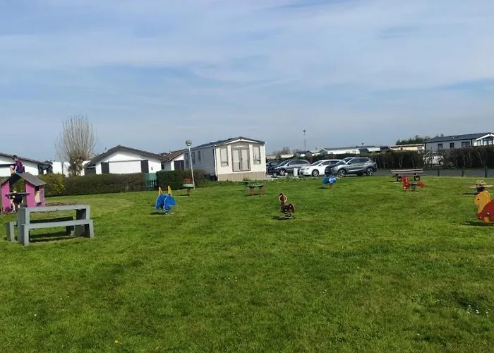 Campingplatz Przytulny Holenderski Z Podgrzewanym Odkrytym Basenem Do Dyspozycji Gosci